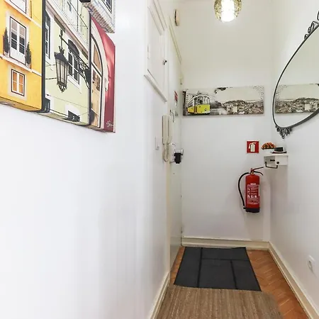 Almirante Classic By Homing * Lisbona